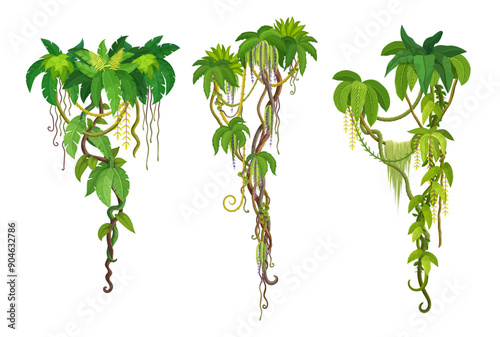 Tropical jungle liana vine branches of ivy or creeper plant with green hanging leaves, cartoon vector. Tropical liana and rainforest jungle bindweed tree or hedera vine with climbing monstera leaf