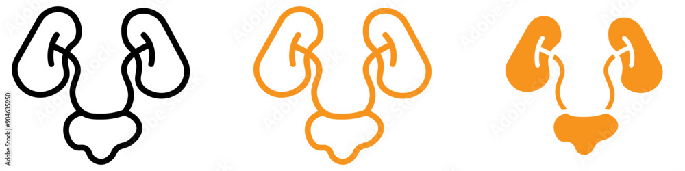 Fototapeta premium Anatomical Urinary System Icon for Health and Medical Graphics Ideal for Representing the Urinary System and Medical Diagrams