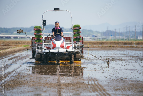 田植えをする農家さん