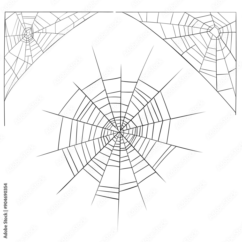 Obraz premium vector drawing spider web, hand drawn illustration