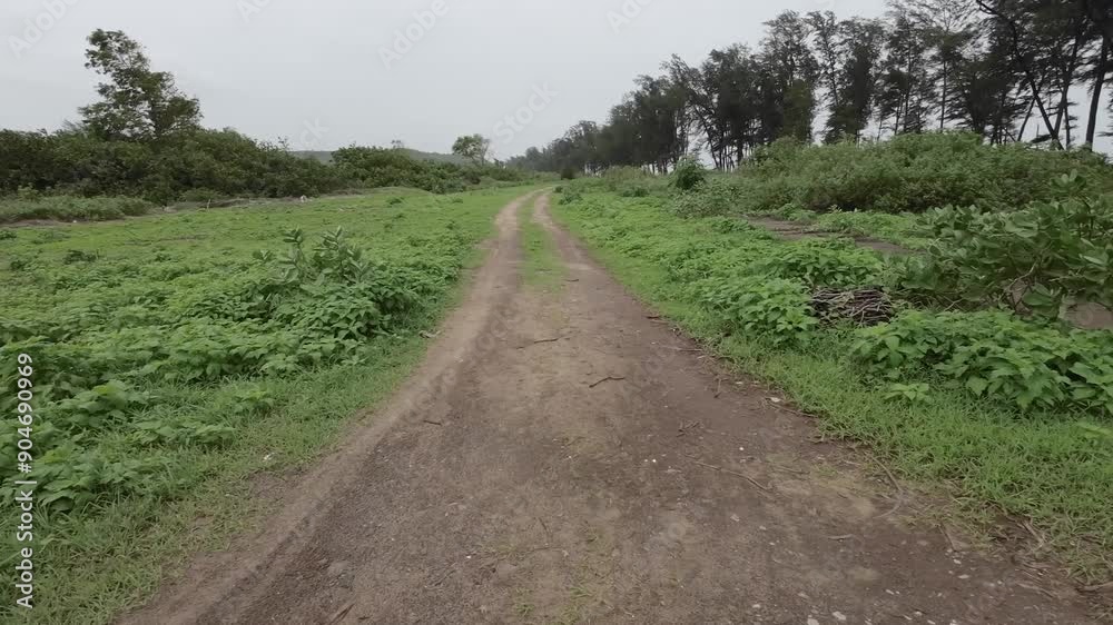 Raw Mud Path Way In Coastal Area in Monsoon Raw Mud Path Way In Coastal Area in Monsoon