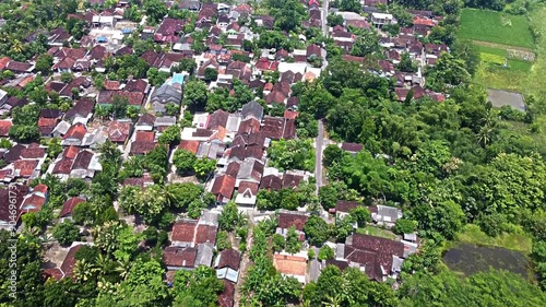 Aerial View of a Lush Residential Area photo