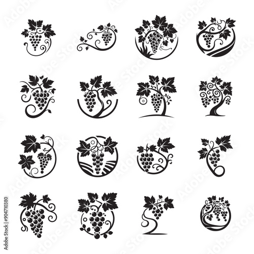Grapevine vector icon set, grapevine ornaments, grapevine silhouette collection, logo design, black grapevine, Grape silhouette with leaves, 