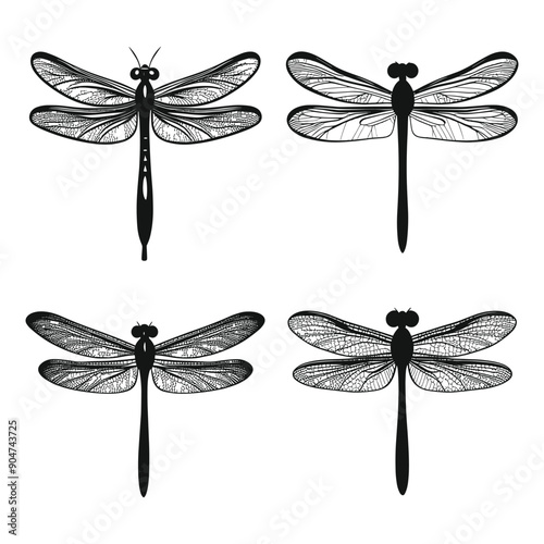Four black and white dragonfly illustrations.