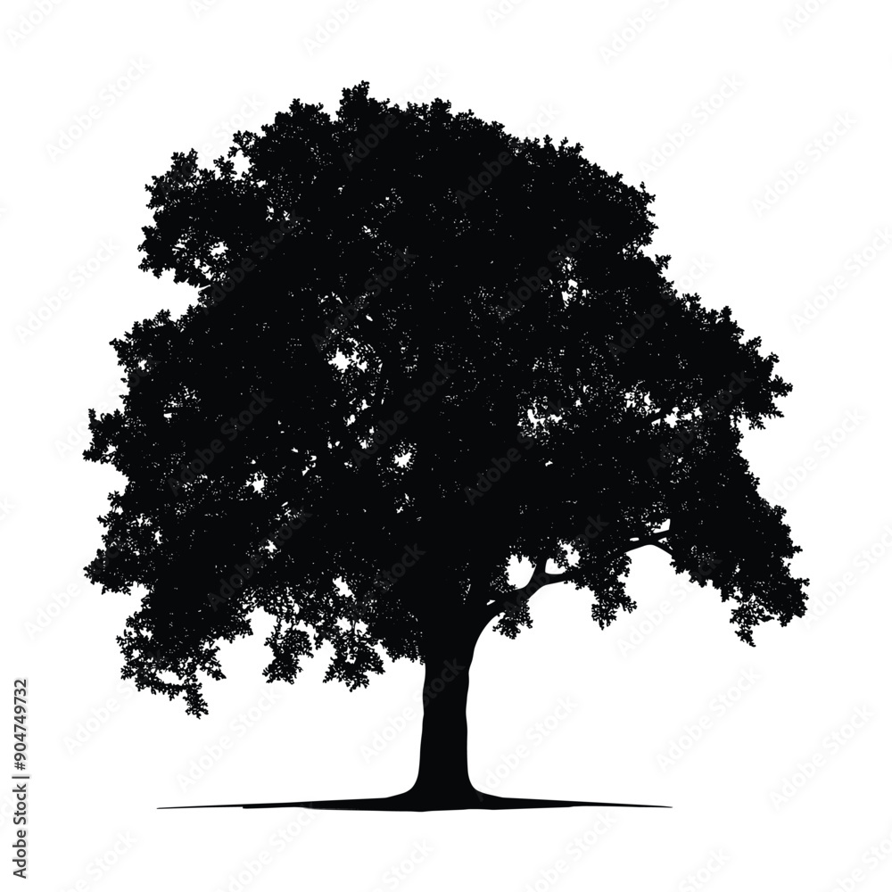 Fototapeta premium Silhouette of a large tree isolated on a white background.