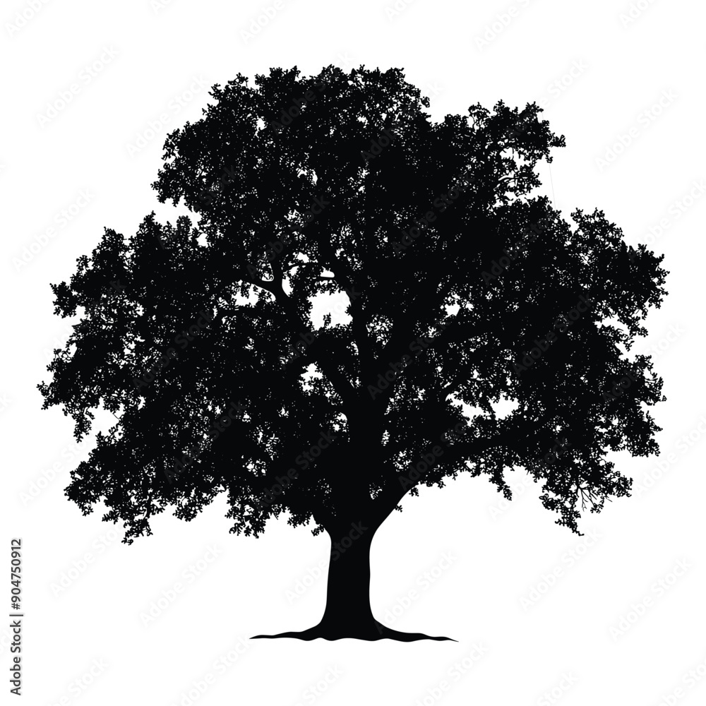 Fototapeta premium Silhouette of a large tree against a white background.
