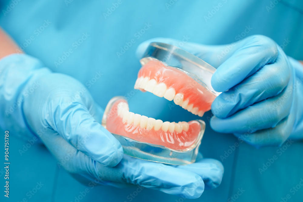 Asian dentist holding dental teeth model for learn about dentistry. Asian dentist holding dental teeth model for learn about dentistry.