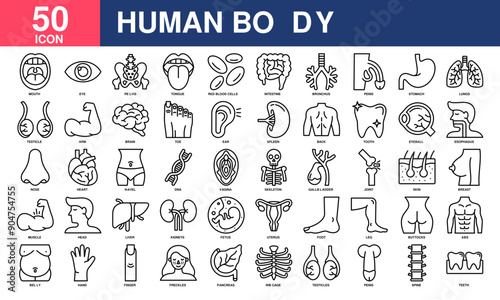 Human Body icon collection set. Simple Line Vector