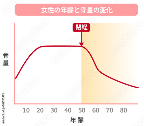 女性の年齢別の骨量の変化のグラフ、閉経と骨粗鬆症の関係。