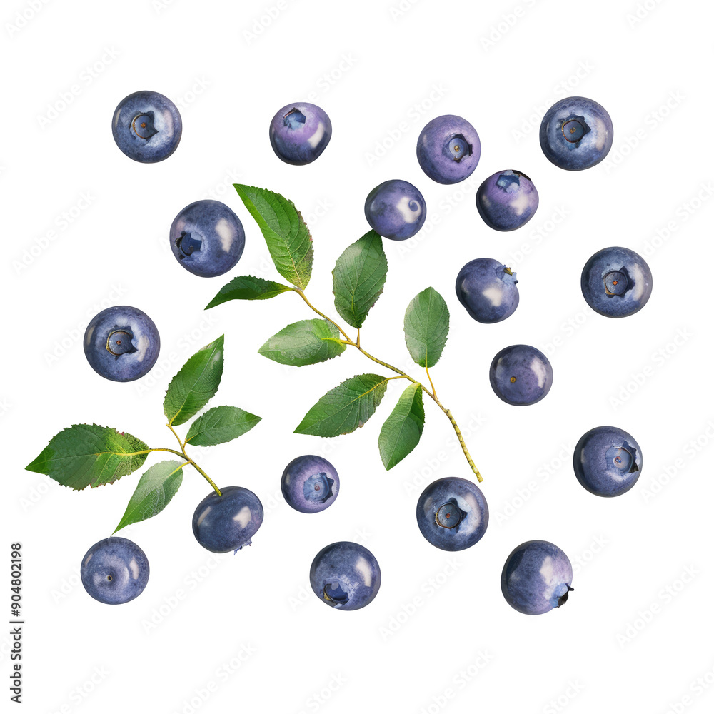 Blueberries and leaves isolated on transparent background from above. Blueberries and leaves isolated on transparent background from above.