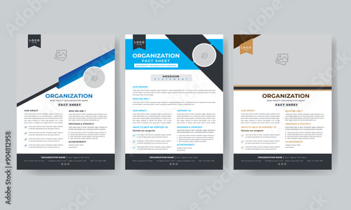 Creative Nonprofit Organization Fact Sheet or Minimalist Organization Fact Sheet for presentation