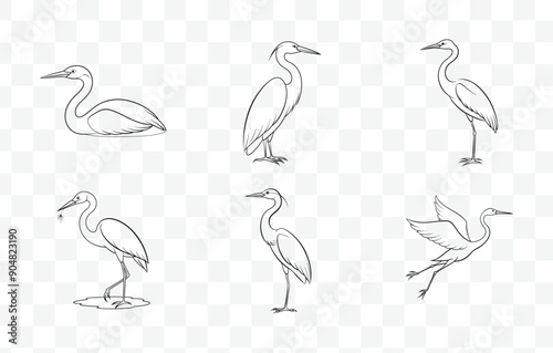 Print Detailed Heron Line Art Vector Set of Graceful Wading Birds in Various Poses for Artistic and Design Projects
