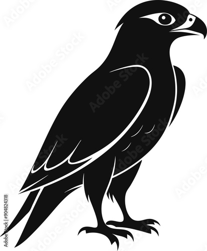 Eagle on a white background
