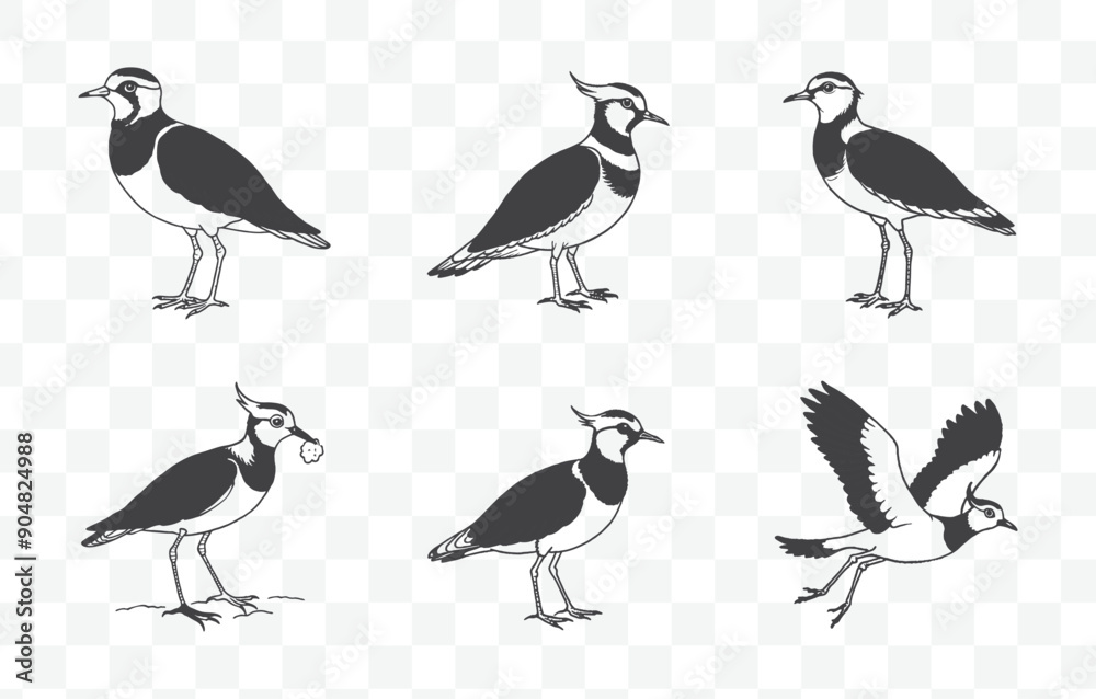 Print Comprehensive Lapwing Line Art Vector Set for Detailed and Versatile Designs Up to 100 Unique Illustrations Print Comprehensive Lapwing Line Art Vector Set for Detailed and Versatile Designs Up to 100 Unique Illustrations
