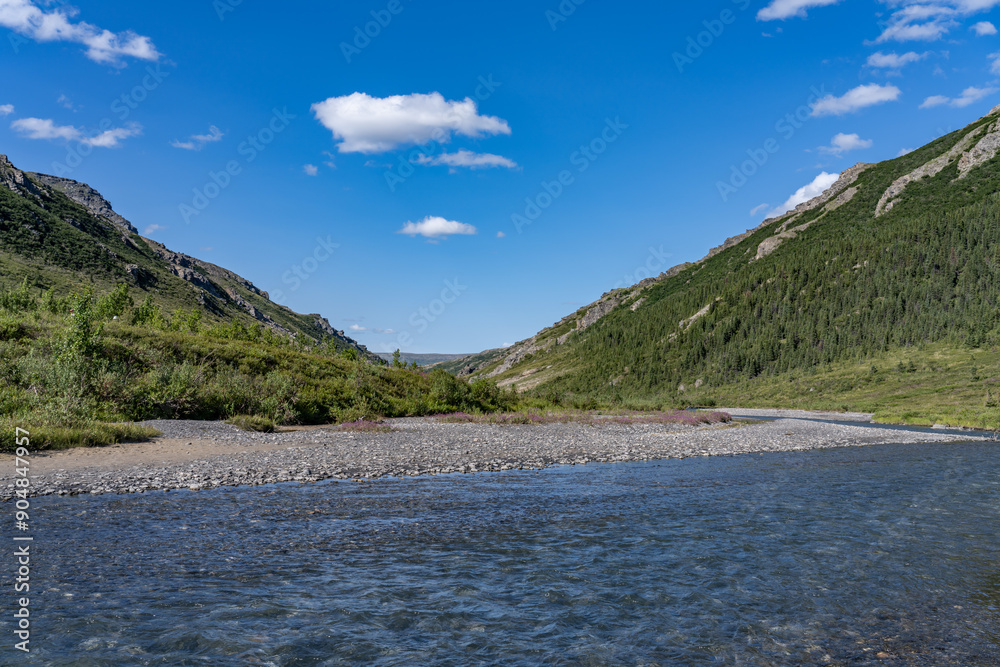 Savage River is one of several braided rivers in Denali that are characterized by transitory channels meandering across wide beds of sediment over time. Alaska Savage River is one of several braided rivers in Denali that are characterized by transitory channels meandering across wide beds of sediment over time. Alaska