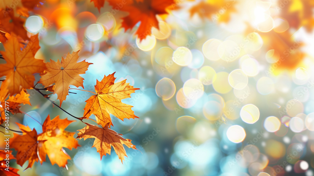 Blurred fall background with close-up vibrant fall leaves with sunlight filtering through Blurred fall background with close-up vibrant fall leaves with sunlight filtering through
