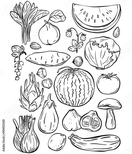 Vector vegetables and fruits. Concept halthy cafe. Garden set	