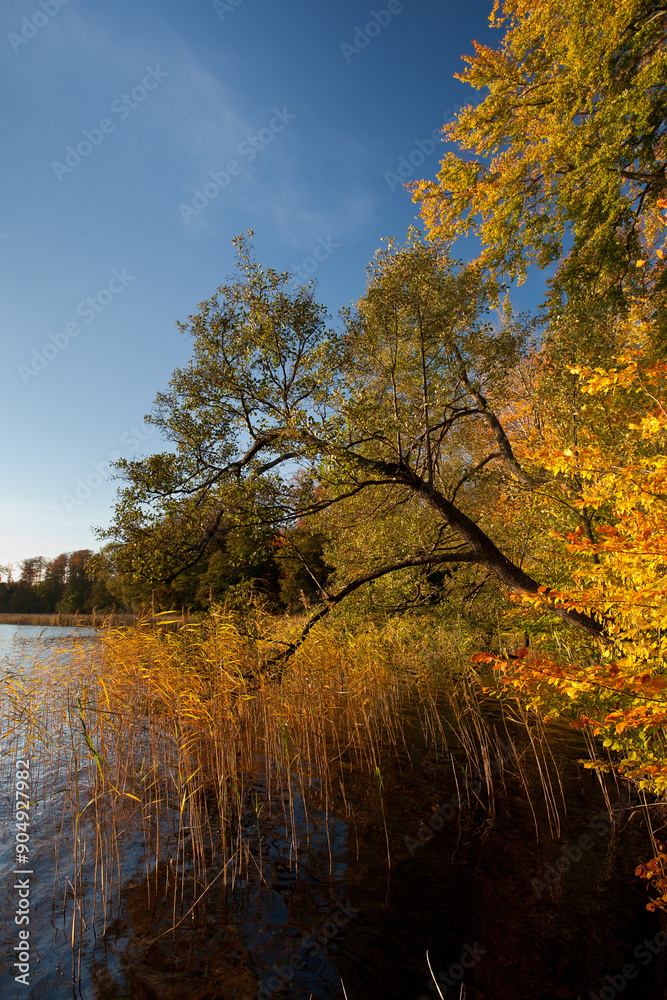 Jesień na pojezierzu