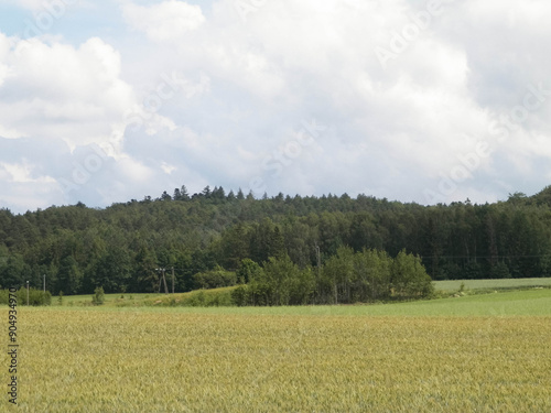 Vászonkép Hills and meadows of Kashubia Region, Poland.