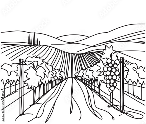Vineyard field minimalist design for wine label, sketch, doodle illustration