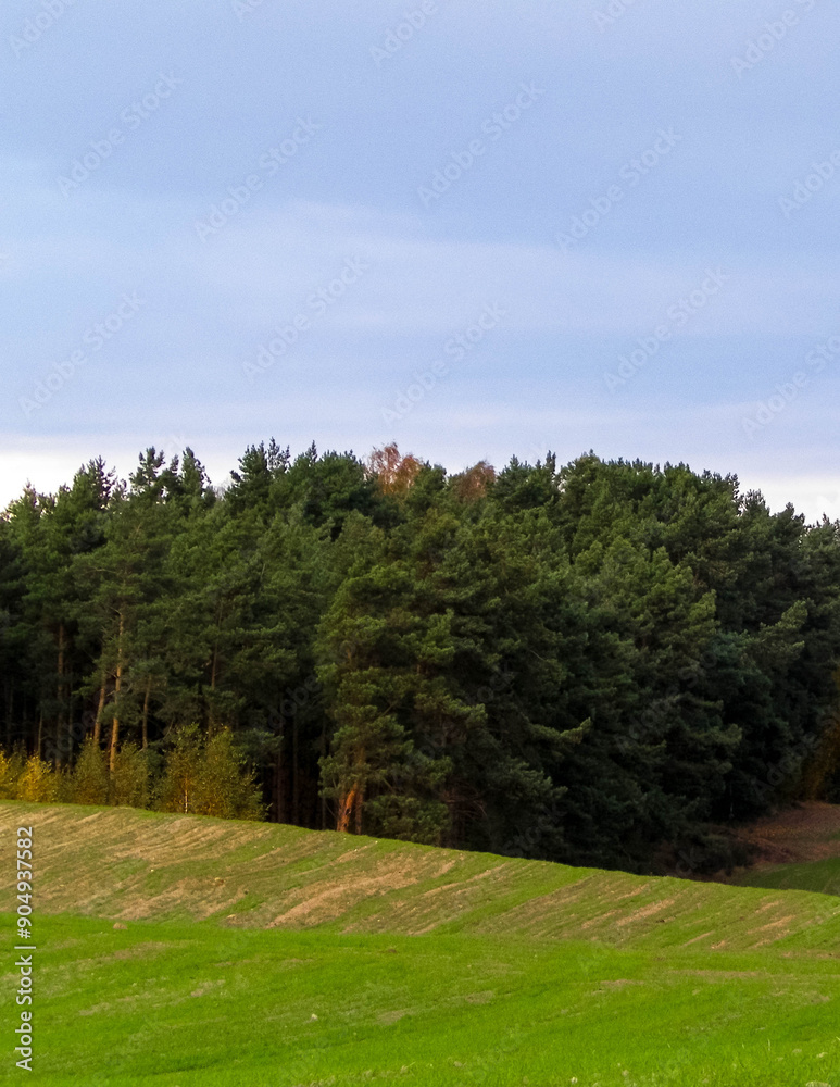 Green field and hills. Nature of northern Poland. Green field and hills. Nature of northern Poland.
