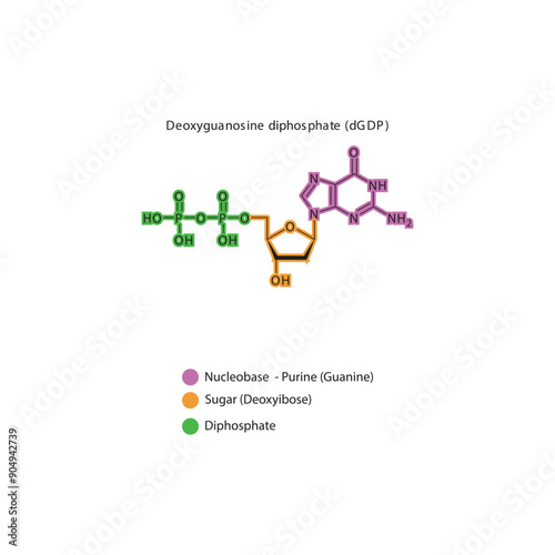 Deoxyguanosine diphosphate (dGDP) skeletal structure schematic illustration, Nucleoside molecule.