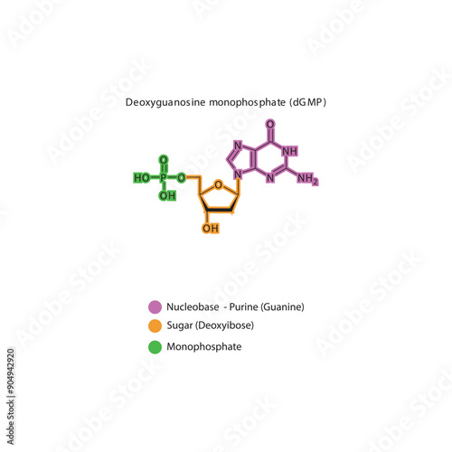 Deoxyguanosine monophosphate (dGMP) skeletal structure schematic illustration, Nucleotide molecule.