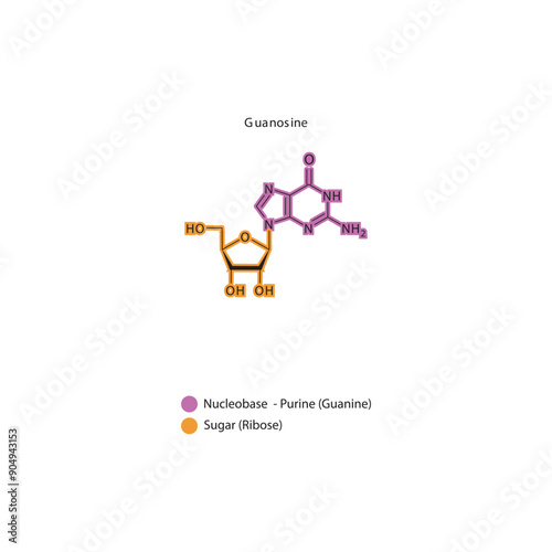 Guanosine skeletal structure schematic illustration, Nucleoside molecule.