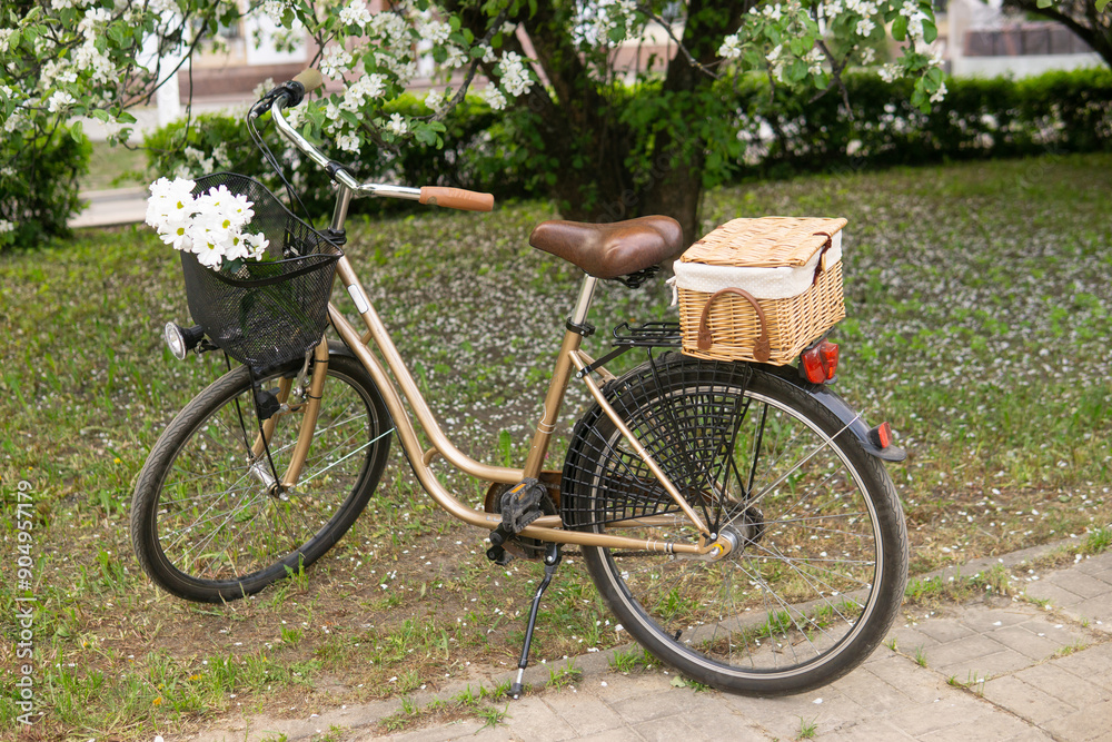 A beautiful retro bike with a wicker basket stands next to a blooming apple tree in the park. A beautiful retro bike with a wicker basket stands next to a blooming apple tree in the park.