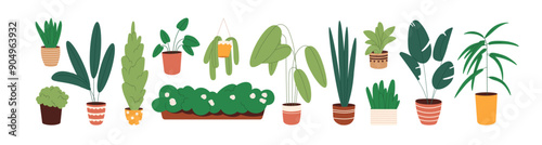 Different houseplants set. Home flower with green leaves. House plants with big and small foliage in flowerpots. Various floral interior decoration in pots. Flat isolated vector illustrations on white