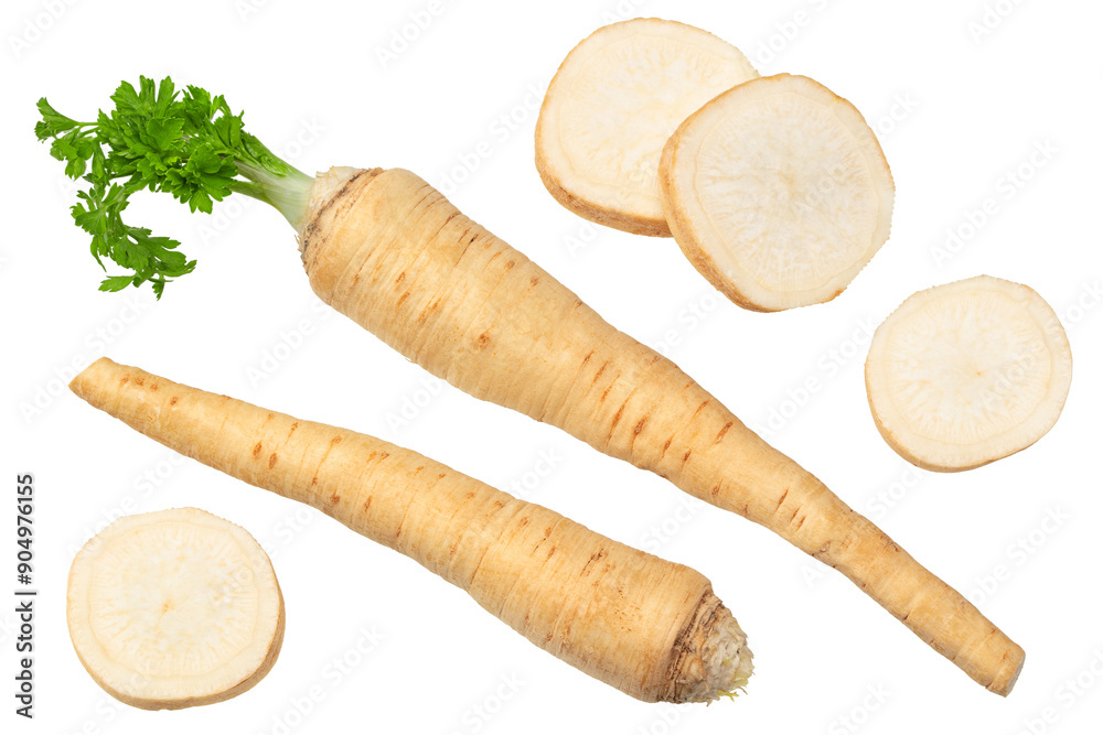 fresh parsley root isolated on white background. clipping path fresh parsley root isolated on white background. clipping path