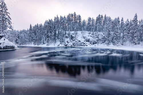 winter in the forest. Oulanka . Finland photo