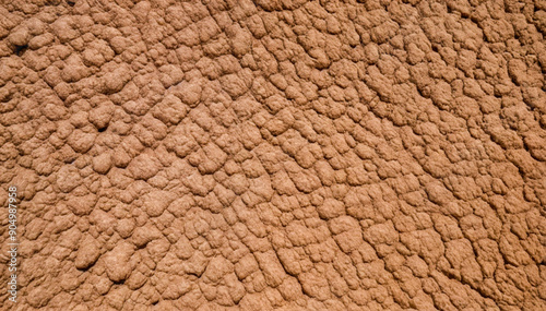 Natural Earthy Textured Surface