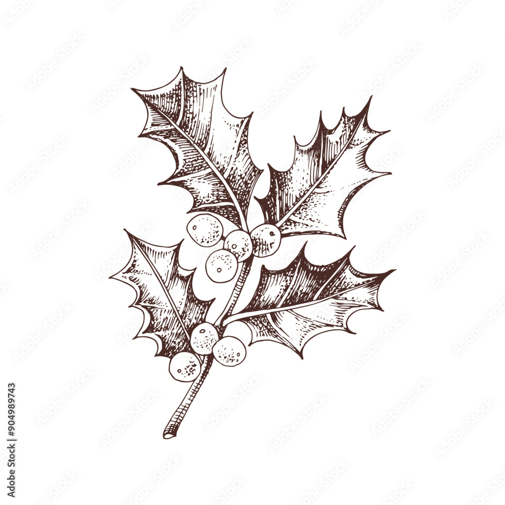 Naklejka premium Holly berry monochrome vector branch