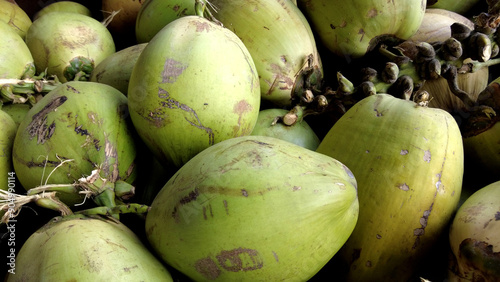 Photography A pile of young coconuts ready to be consumed