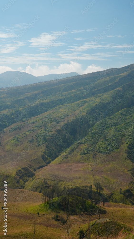 Fototapeta premium steep mountain slopes and trees