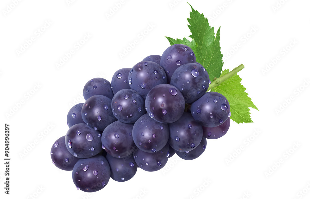 Fototapeta premium 巨峰 イラスト リアル ぶどう