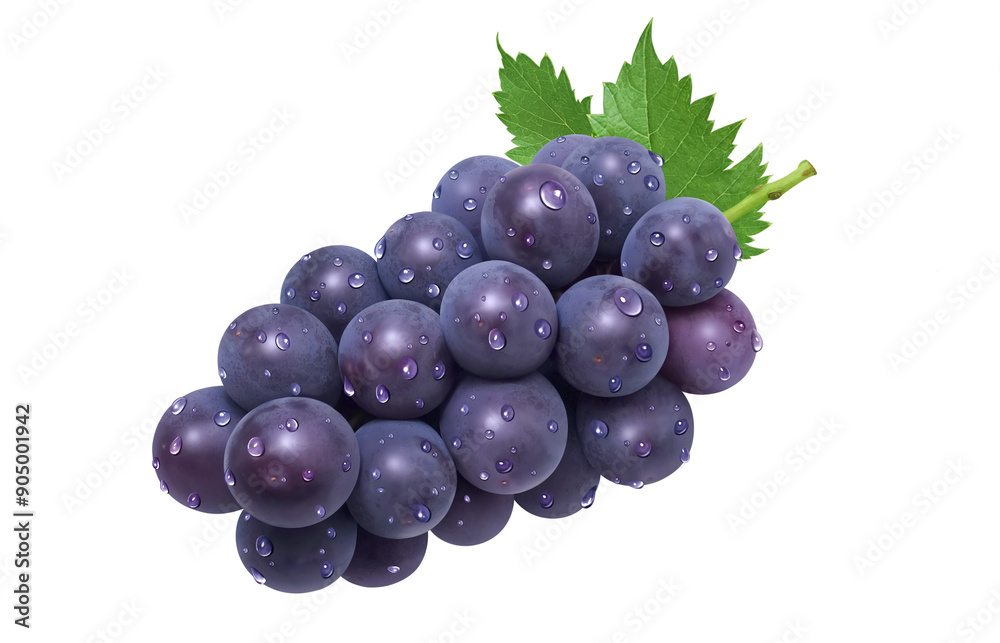 Fototapeta premium 巨峰 イラスト リアル ぶどう