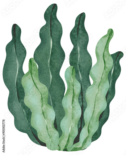Watercolor sea plant 