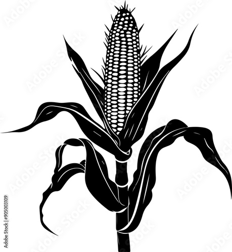 Corn cob clipart design illustration