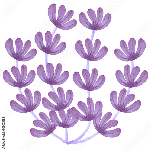 Watercolor sea plant 