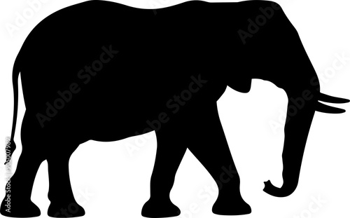 Elephant silhouete clipart design illustration photo