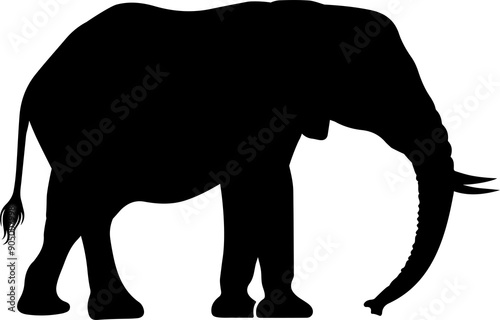 Elephant silhouete clipart design illustration photo