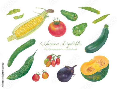 手書きの夏野菜のイラストセット