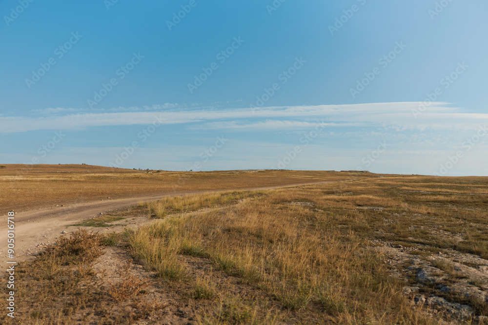 Scenic dirt road through lush field under blue sky, perfect for travel, adventure, and exploration concept Scenic dirt road through lush field under blue sky, perfect for travel, adventure, and exploration concept