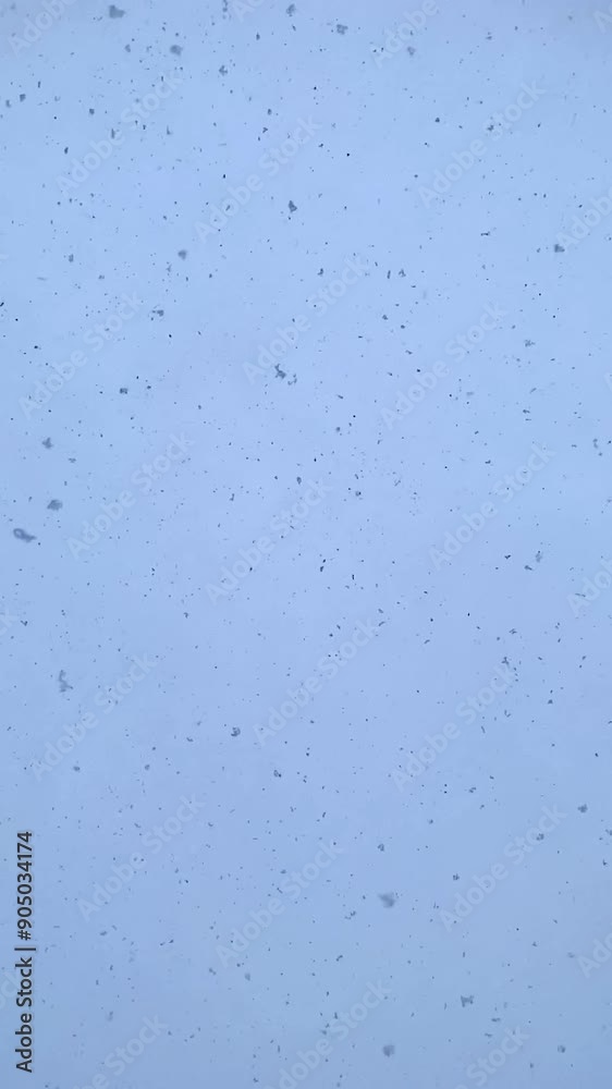 Slow snowfall from the sky on a winter day Slow snowfall from the sky on a winter day