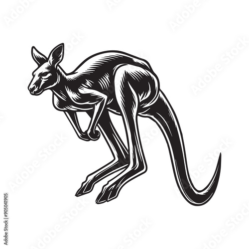 Kangaroo Silhouette - Kangaroo Clipart - An energetic kangaroo illustration in black and white