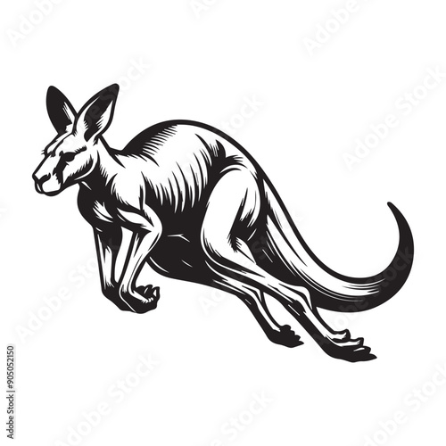Kangaroo Silhouette - Kangaroo Clipart - A Kangaroo Springing Forward  illustration in black and white