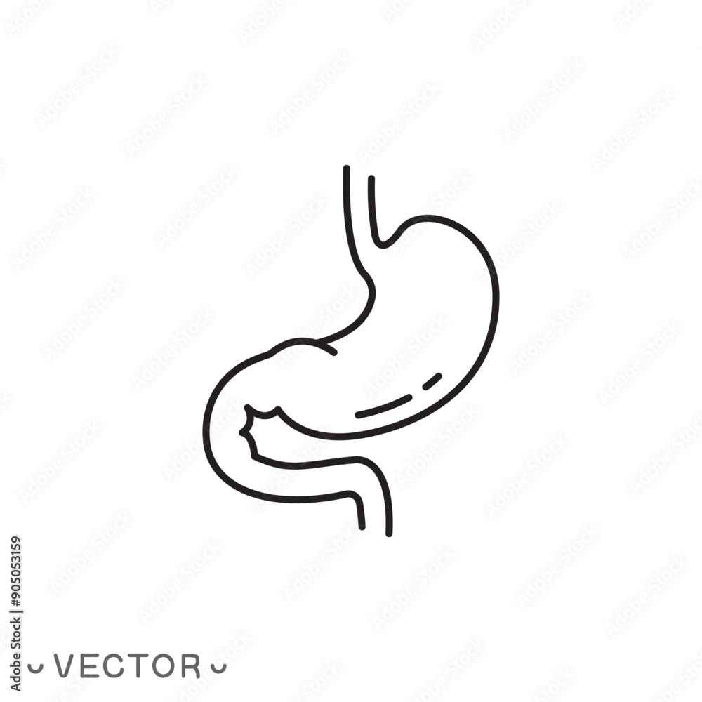 Obraz premium stomach line icon, gut, healthy digestive tract, thin line symbol isolated on white background, editable stroke eps 10 vector illustration