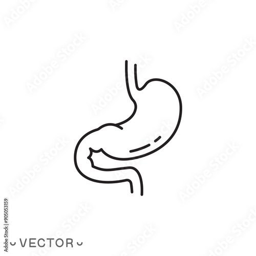 stomach line icon, gut, healthy digestive tract, thin line symbol isolated on white background, editable stroke eps 10 vector illustration